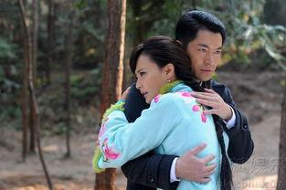 郎本无情电视剧,爱恨交织的复仇传奇